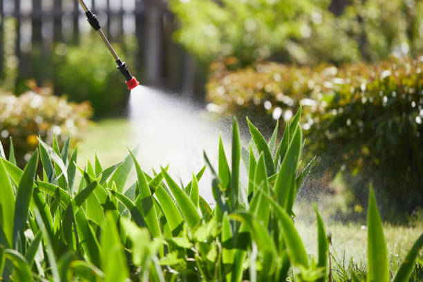 Tamper-Resistant Bait Stations for Rodents in Midway