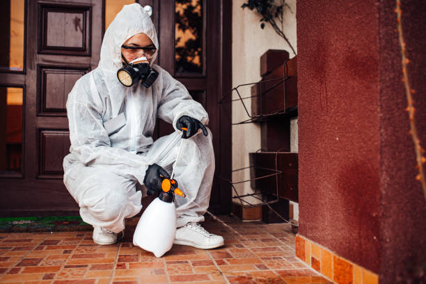 Attic and Crawl Space Rodent Treatment in Midway